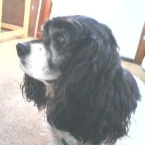 Meet your posher, EZ Lawrence - Please follow, share, & ❤️ BACK. Thank U - Picture 2 of 16